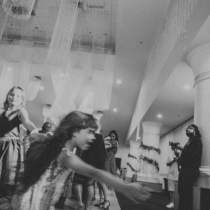 IMG 7469