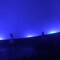 IMG 1252