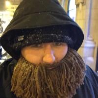 2016-12-18-kevintracy-artificial-beard-chicago